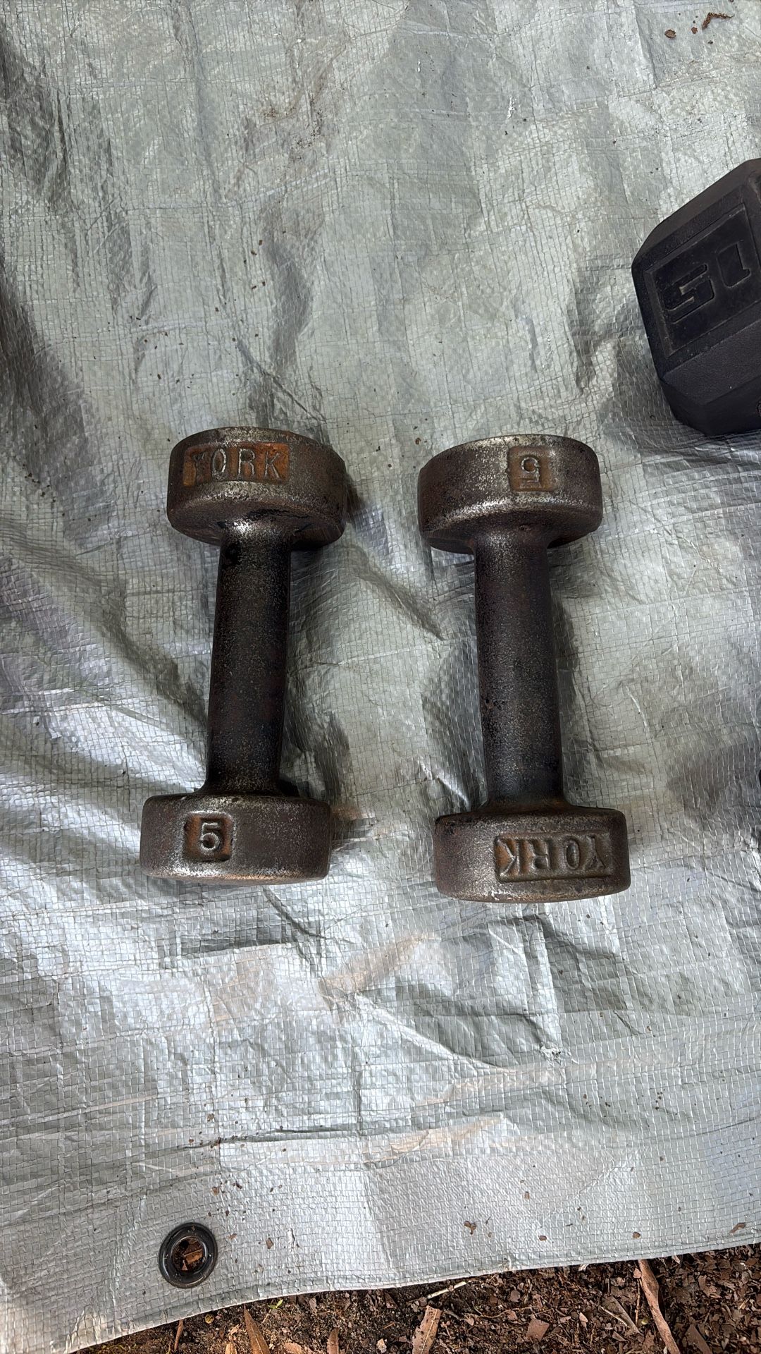 5 Pound Weights
