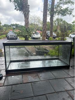 Glass cage with mesh lid