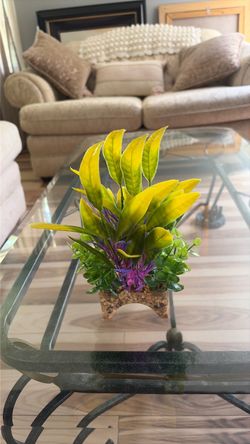 Fish tank plant