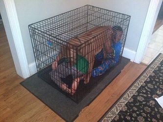 Large dog crate and cover-children and dog not included 😂