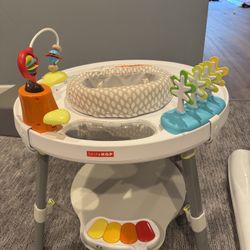 Skip Hop Activity Center 