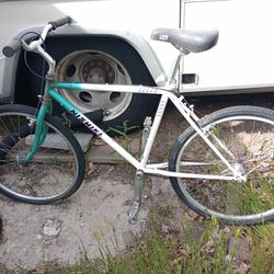 True Single Speed Bicycle, Not Kit, Light Weight