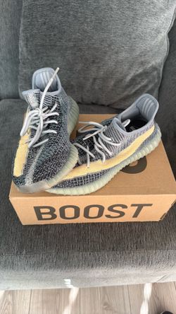 Yeezy boost 350 v2