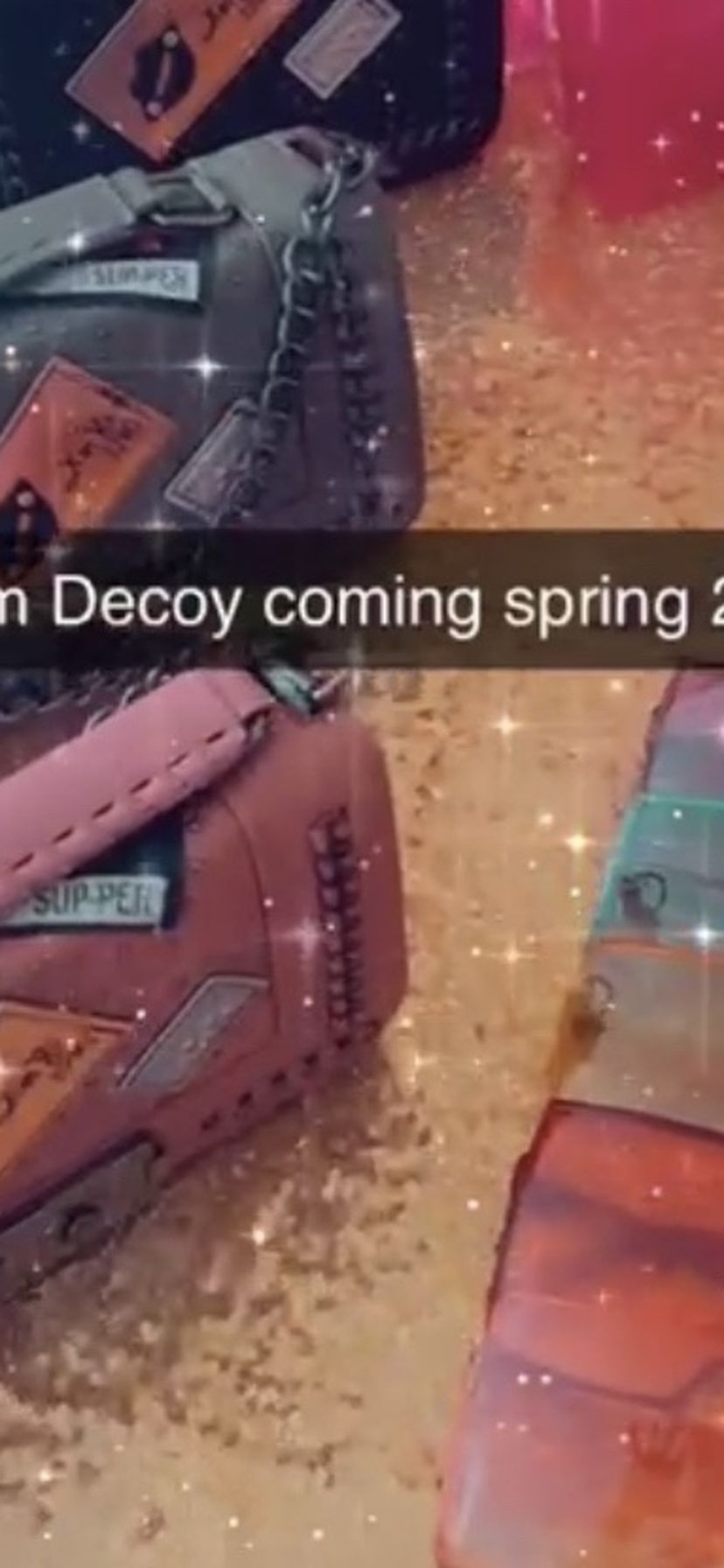 Purses Sunglasses Shoes