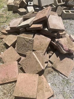 Yard Clean Up
