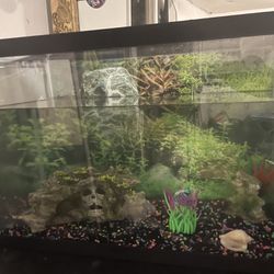 20 Gal Fish Tank