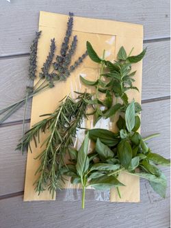 Fresh Herbs