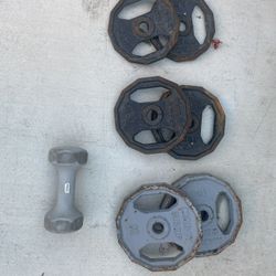 Mercy Weights 2.5 5 10 8lb Dumbbell 