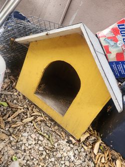 Puppy House