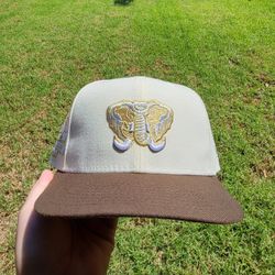 Rahnni Fitteds Hat