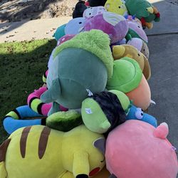 Huge Squishmallow Collection