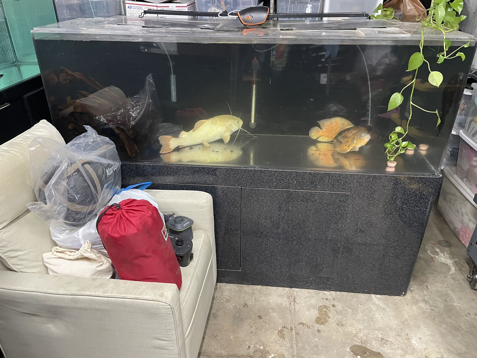 Acrylic 180 Gallon Aquarium Tank 