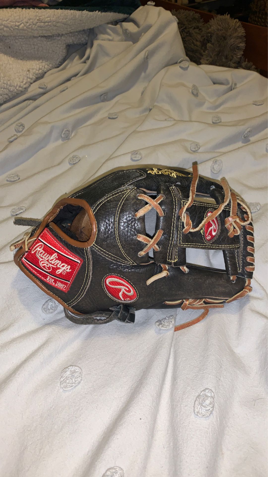 Rawlings Pro Series Special Edition Baseball Glove