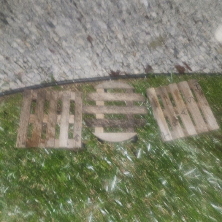 WOOD PLANT STANDS ON WHEELS $5 Each