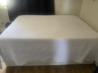 ‼️ BED FRAME AND MATRESS ‼️‼️