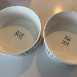 Two Matching Dog Bowls