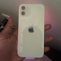 Light Green iPhone 12 
