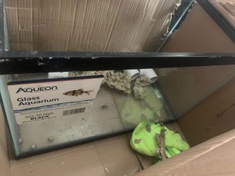 20 Gallon tank