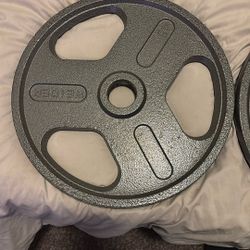 Steel 45lbs plates And 40lb dumbbell