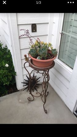 SUCCULENTS & IRON STAND