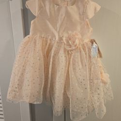 24 Mo Girls Pink Dress