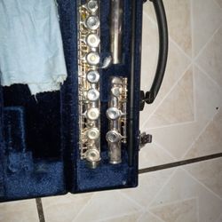 Tengo Está Flauta Está Seminuevas 