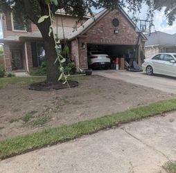 Sod Installation