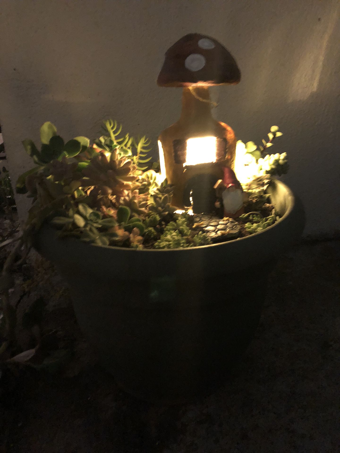  Light up, gnome home succulent garden