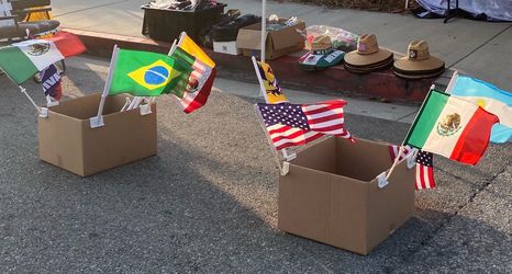 Car Flags