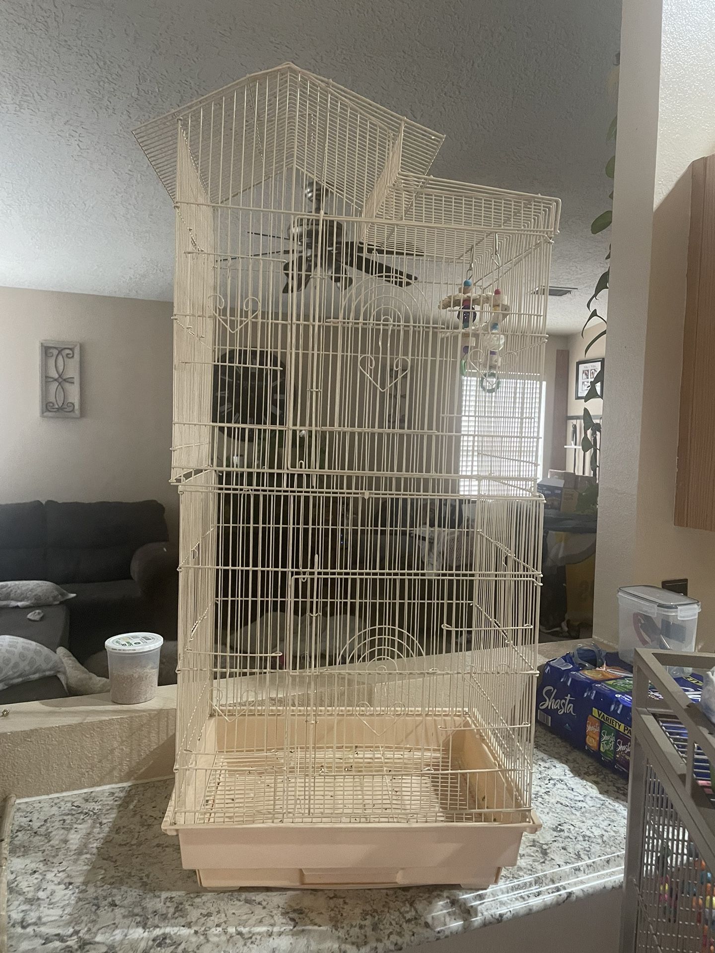 Bird Cage 