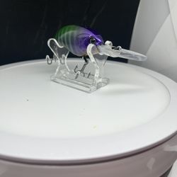 Orange Squirt Deep Diver