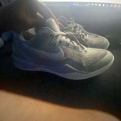 kobe 8 wolf grey