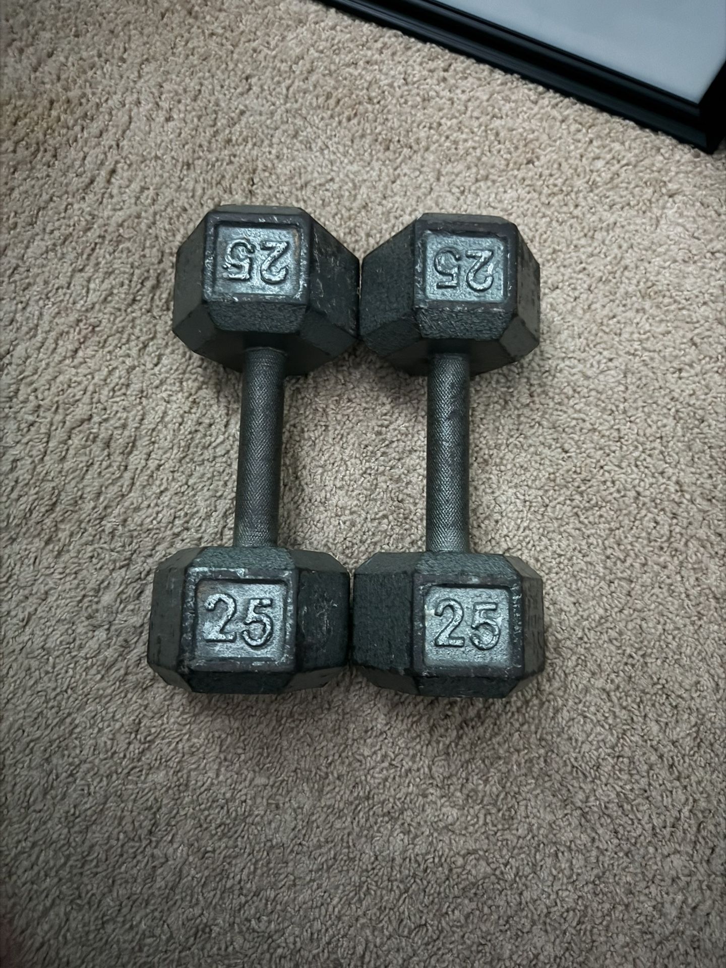 25LBS Dumbells