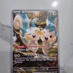 Pachirisu  Illustration Rare