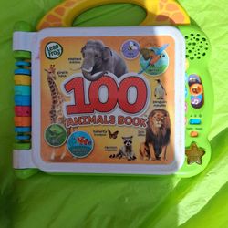Leap Frog Book
