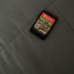 Nintendo Switch Minecraft