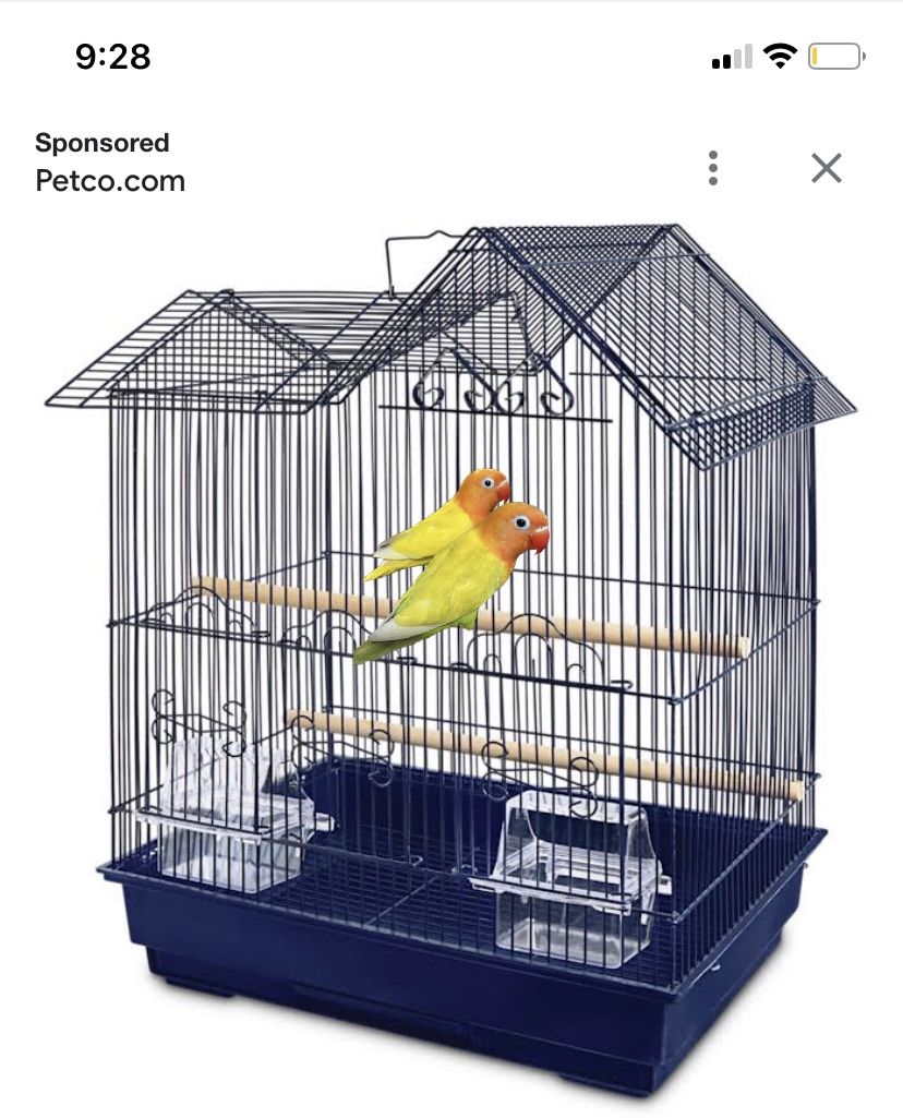 Bird Cage / Jaula 