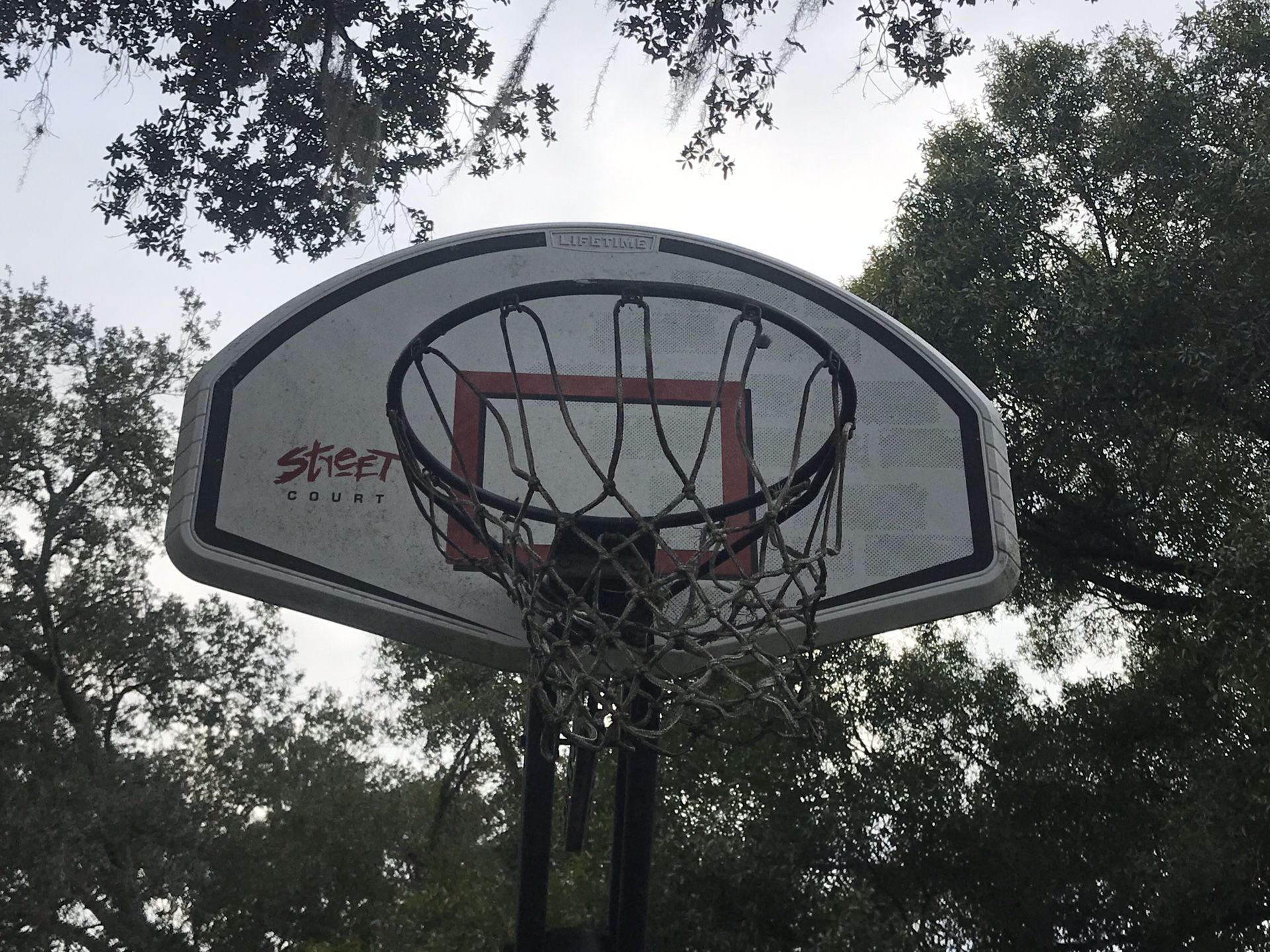 Lifetime basketball hoop