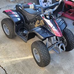 Razor quad modded 36v