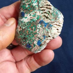 Fossilized Dinosaur Bone 