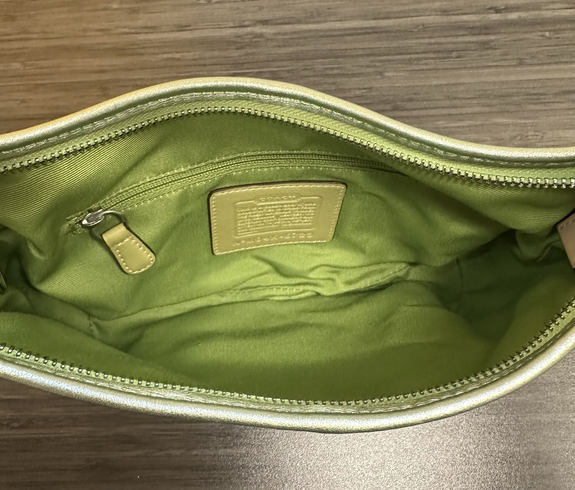 Coach Ltd Ed Green Signature C Optic Hobo Ladybug Bag Purse