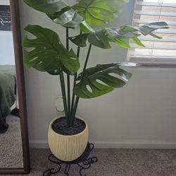Faux Decor Plants