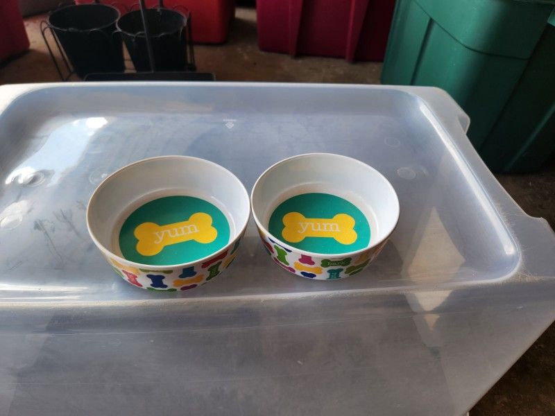 Dog Water and Food Bowl Set
