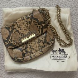 Snake Print Purse 