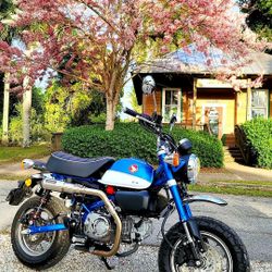 Vance & Hines Hi-Output Slip-On Brushed Honda Monkey Z125 2019-2024