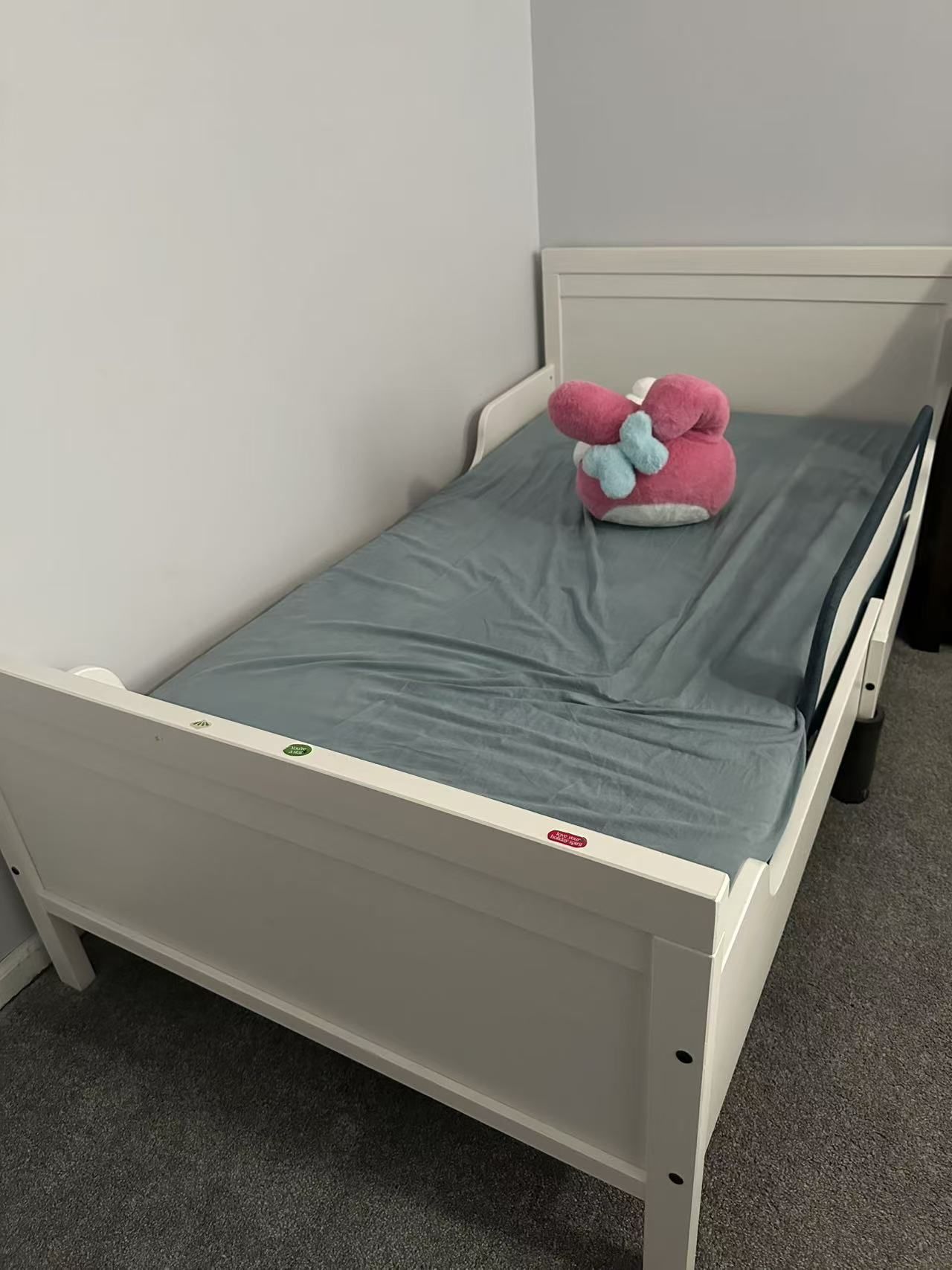Twin Bed & Mattress