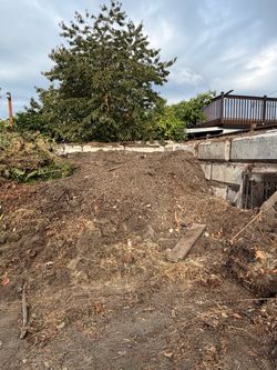 Free compost / mulch