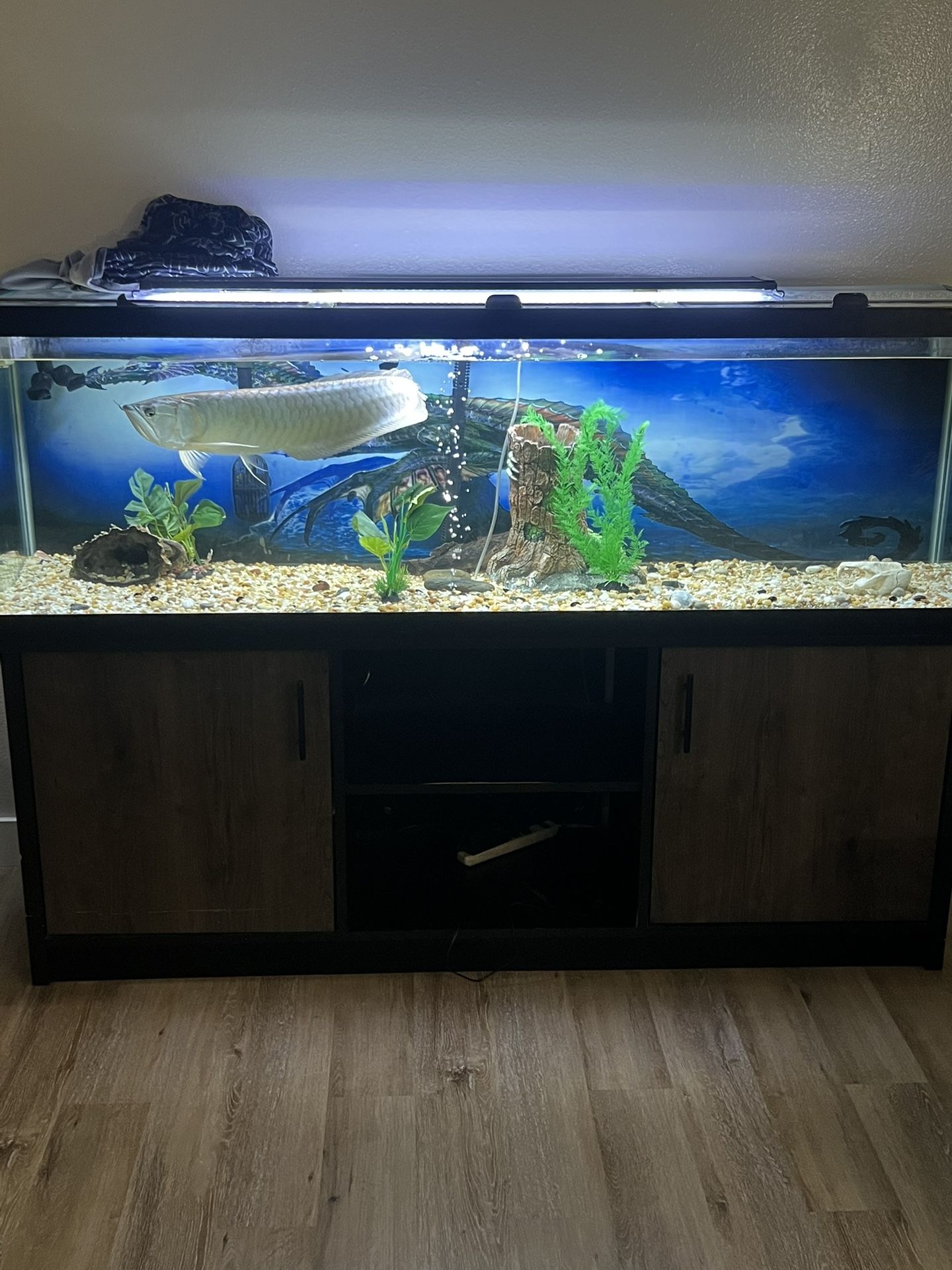 175 Gallon Fish Tank Comes With Every Thing In The Pictures