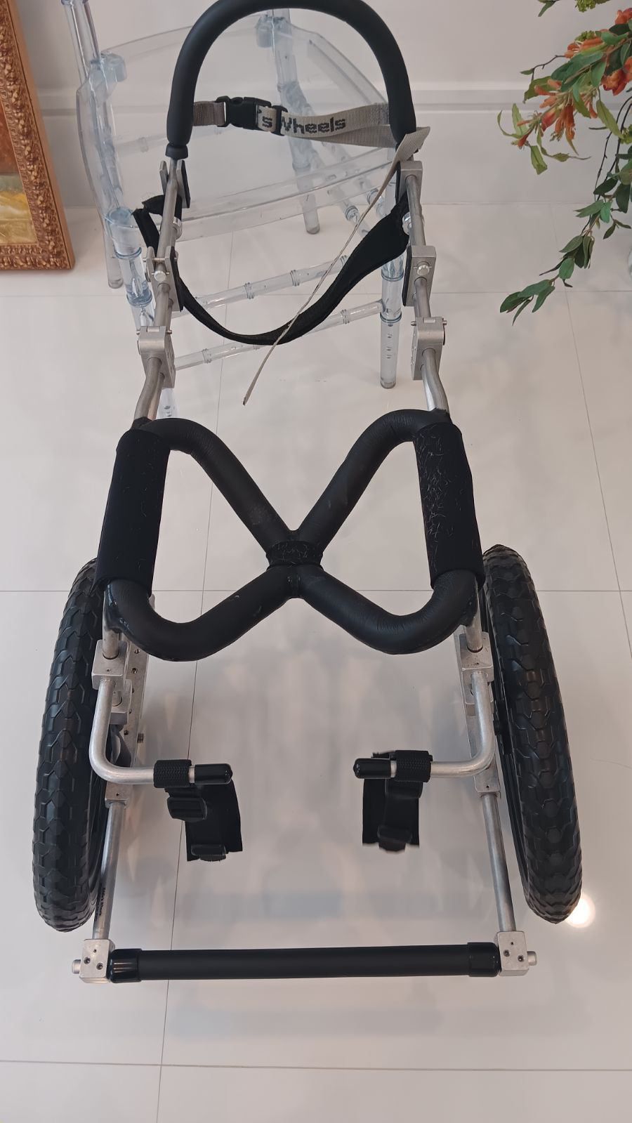 Rear Dog Wheelchair 