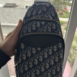 Blue Dior Side Bag 